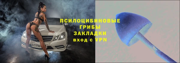 МДПВ Абаза
