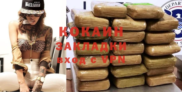 твердый Алексин