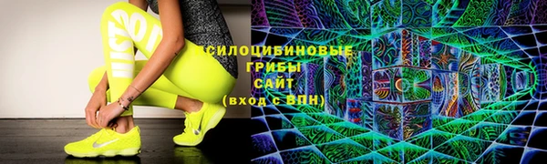 крисы Алексеевка