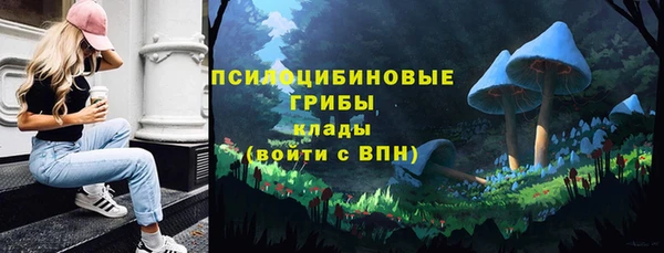 МДПВ Абаза